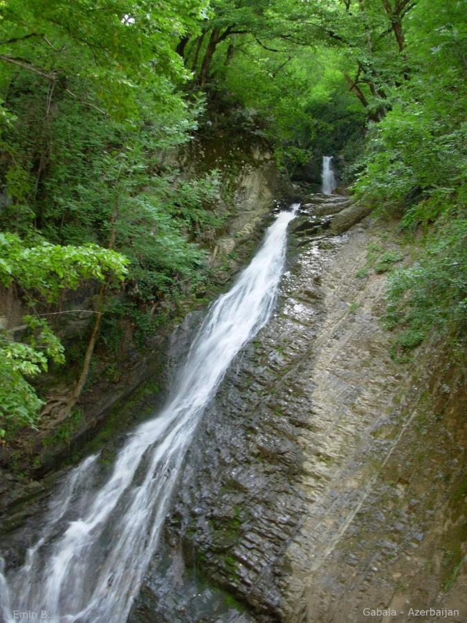 Woodland Paradise Gabala Kültér fotó