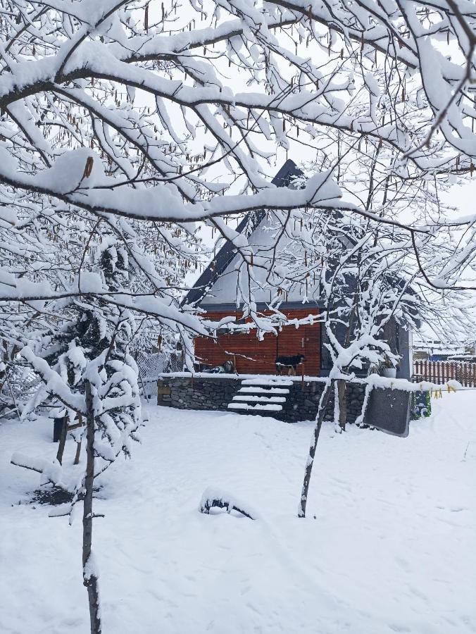 Woodland Paradise Gabala Kültér fotó