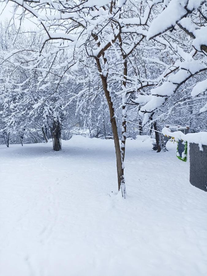 Woodland Paradise Gabala Kültér fotó