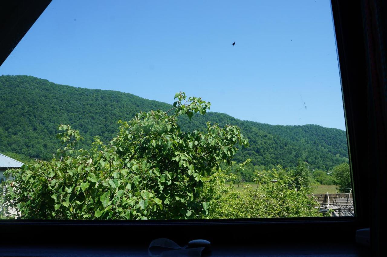 Woodland Paradise Gabala Kültér fotó