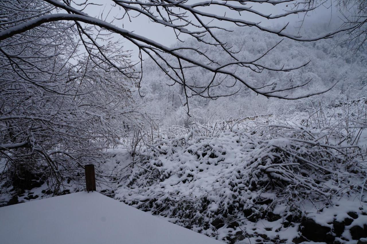 Woodland Paradise Gabala Kültér fotó